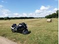 SUZUKI GSX 1300 R (HAYABUSA) 