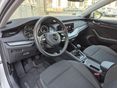 SKODA OCTAVIA 2024/6 - 7