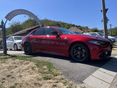 ALFA ROMEO GIULIA 2023/4 - 2