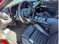 ALFA ROMEO GIULIA 2023/4 - 11