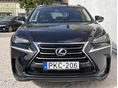 LEXUS NX 2017/9 - 7