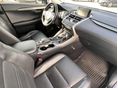 LEXUS NX 2017/9 - 14