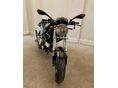 DUCATI MONSTER 620 I.E. 2004/9 - 3