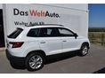 SKODA KAROQ 2021/8 - 4