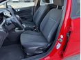 FORD FIESTA 2015/4 - 17