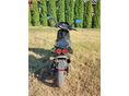 APRILIA SR 50 2007/6 - 4