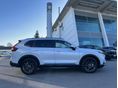 HONDA CR-V 2026/8 - 3