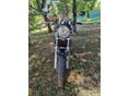 SUZUKI SV 650 N 2001/6 - 4