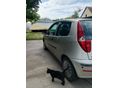 FIAT PUNTO 2005/6 - 8