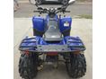 POLARIS PHOENIX 2005/1 - 4