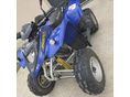 POLARIS PHOENIX 2005/1 - 6