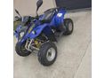 POLARIS PHOENIX 