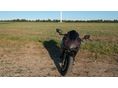 HONDA CBR 500 R 2020/11 - 5