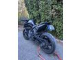 KTM 790 DUKE 2020/3 - 4