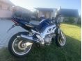 SUZUKI SV 1000 N 2005/6 - 6