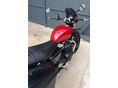 TRIUMPH SPEED TWIN 2024/3 - 12
