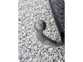 KIA CEE'D 2010/2 - 11
