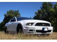 FORD MUSTANG 2014/4 - 3