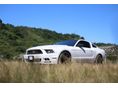 FORD MUSTANG 2014/4 - 4