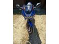YAMAHA FZS 600 (FAZER) 1998 - 5