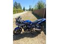 YAMAHA FZS 600 (FAZER) 1998 - 6