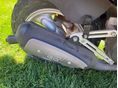 KYMCO GRAND DINK 50 2010/6 - 3