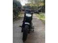 HARLEY-DAVIDSON FAT BOB 2024/5 - 5