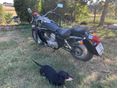 HONDA VT 125 C SHADOW JC29