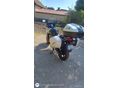 HONDA CBF 600 2012 - 5