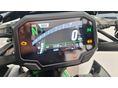KAWASAKI Z 900 2024/6 - 8