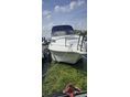 DRAGO BOATS 2007 - 7