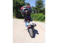 SUZUKI SV 650 N 2001/7 - 5