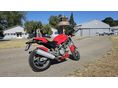 DUCATI MONSTER 620 I.E. 2003/4 - 4