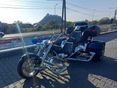 BOOM-TRIKES MUSCLE 