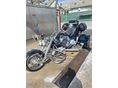 BOOM-TRIKES MUSCLE 2009/7 - 2