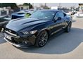 FORD MUSTANG Fastback 5.0 Ti-VCT V8 GT (Automata) HA MUSTANGOT VENNE MINDENKÉPPEN OLVASSA EL!