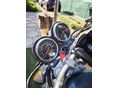 SUZUKI GS 500 E 2002 - 8