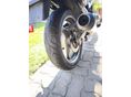 SUZUKI GS 500 E 2002 - 10
