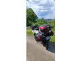 HONDA CBF 1000 2007 - 2