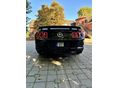 FORD MUSTANG 2014/12 - 8