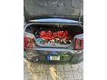 FORD MUSTANG 2014/12 - 9