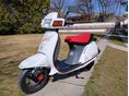 HONDA LEAD 50 Lead 80SS Sport