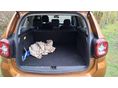 DACIA DUSTER 2018/4 - 10
