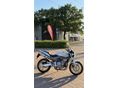 HONDA CB 600 F (HORNET) 2004 - 4