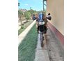 HONDA XL 650 V 2002/11 - 4