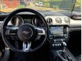 FORD MUSTANG 2017/9 - 6