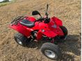ADLY ATV 300 2004/4 - 4