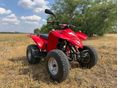 ADLY ATV 300 2004/4 - 3