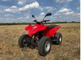 ADLY ATV 300 S FRISS MŰSZAKIVAL