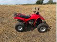 ADLY ATV 300 2004/4 - 5